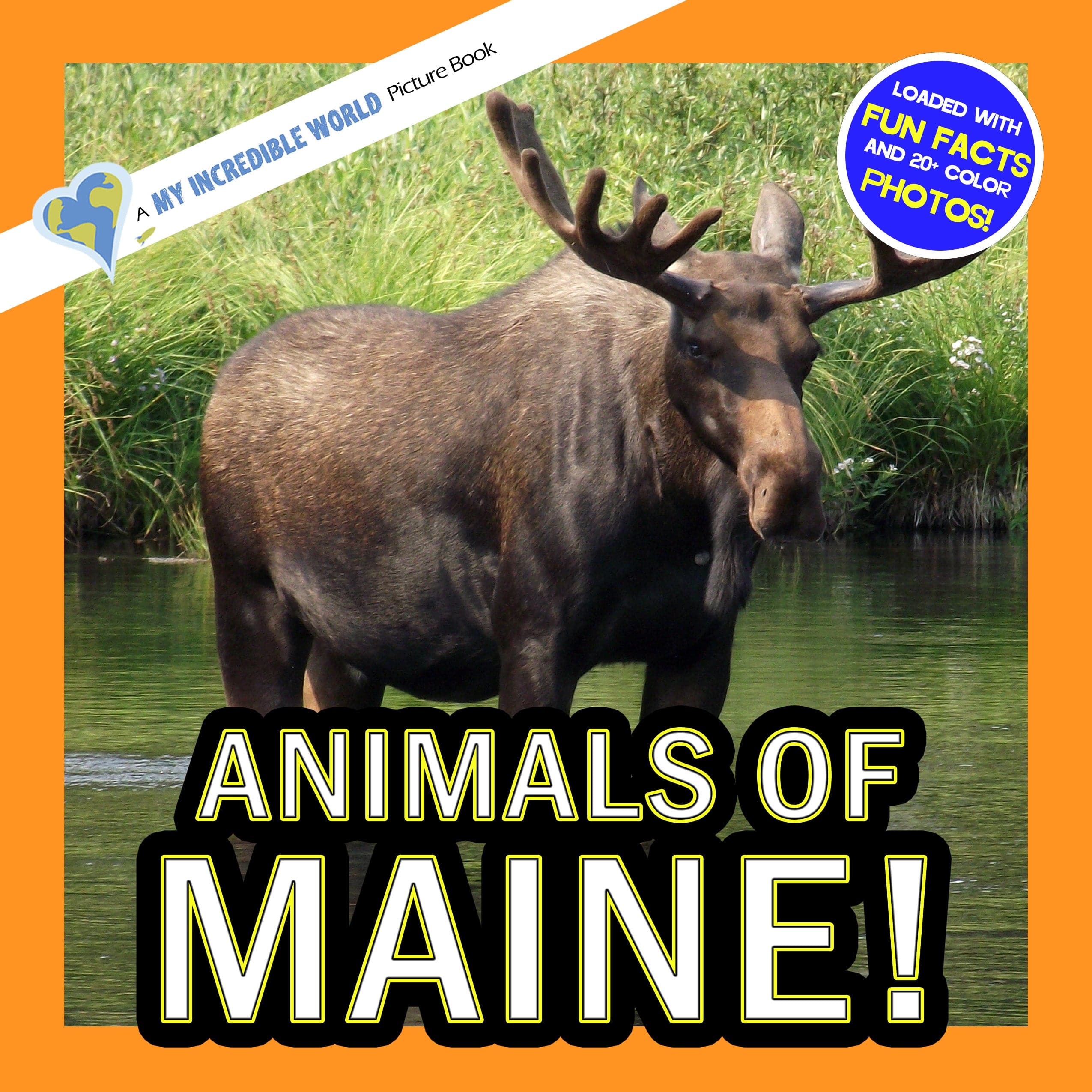 Animals of Maine! A My Incredible World Picture Book for Children